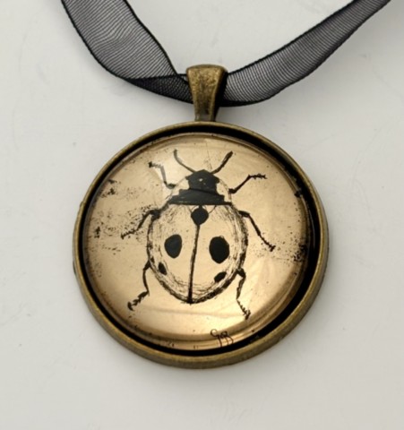Moon Gold leaf Ladybird