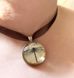 White gold leaf dragonfly